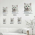 British Shorthair metal sign size guide showing multiple square size options in a living room