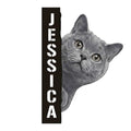 Custom British Shorthair metal sign featuring a gray cat peeking around a bold vertical design
