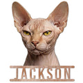 Close-up Sphynx cat portrait metal sign featuring large ears, wrinkled features, and striking golden eyes