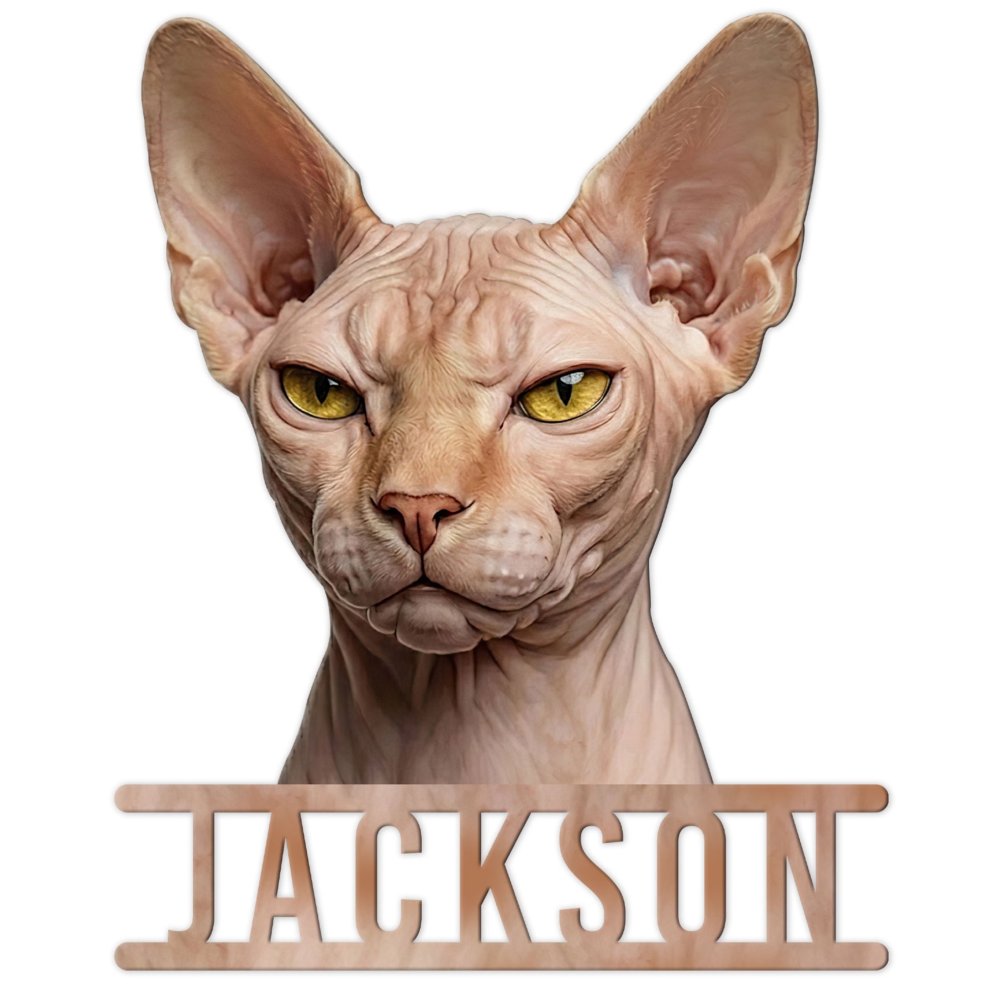 Close-up Sphynx cat portrait metal sign featuring large ears, wrinkled features, and striking golden eyes