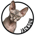 Detailed Sphynx cat portrait inside a bold circular frame on a metal wall sign