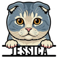 Close-up Scottish Fold cat metal sign featuring folded ears, golden eyes, and paws resting over a bold base