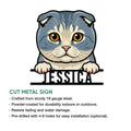 Scottish Fold cat metal sign shown front-facing with a playful blue and cream cat portrait