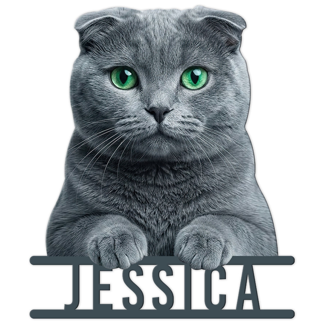 Cut metal sign featuring a realistic gray Scottish Fold cat with bright green eyes and raised paws