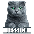 Cut metal sign featuring a realistic gray Scottish Fold cat with bright green eyes and raised paws