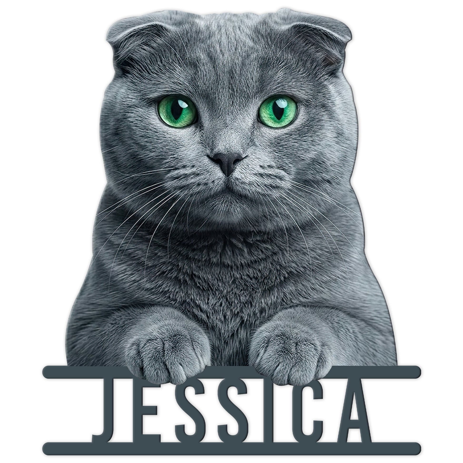 Cut metal sign featuring a realistic gray Scottish Fold cat with bright green eyes and raised paws