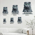 Scottish Fold cat metal sign size guide showing available square sizes from 8 by 8 to 24 by 24 inches