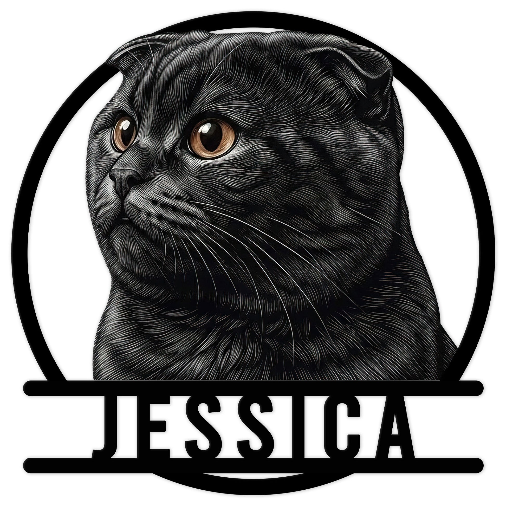 Detailed black Scottish Fold cat portrait in a circular metal sign design