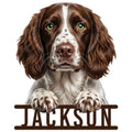 Detailed English Springer Spaniel portrait sign featuring a brown and white dog leaning over a bold nameplate design