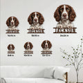 English Springer Spaniel sign size guide showing several available square size options in a home setting