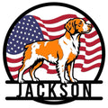 Custom Brittany Spaniel metal sign featuring an orange-and-white dog against a waving American flag
