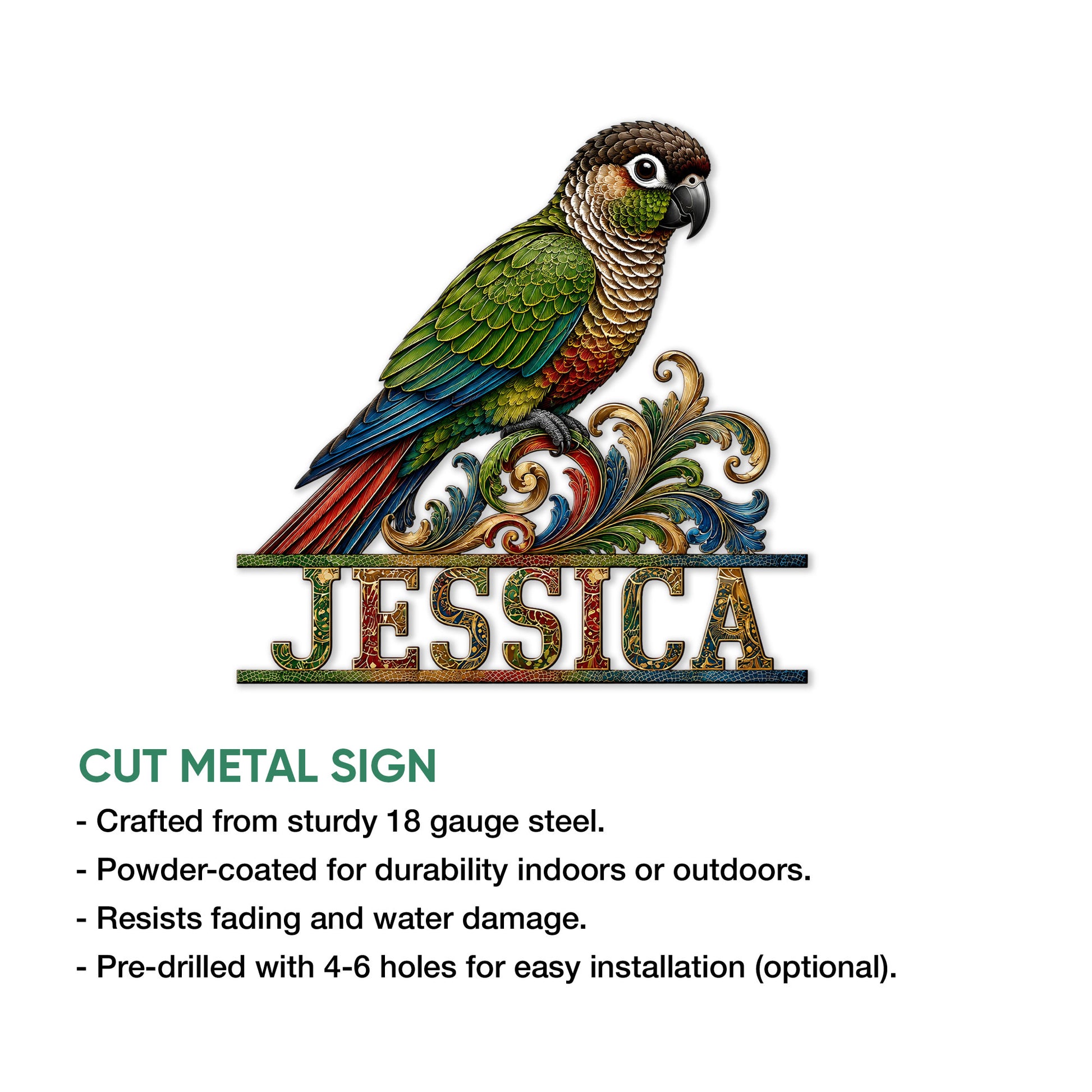 Colorful conure metal sign shown with cut-metal construction and display features