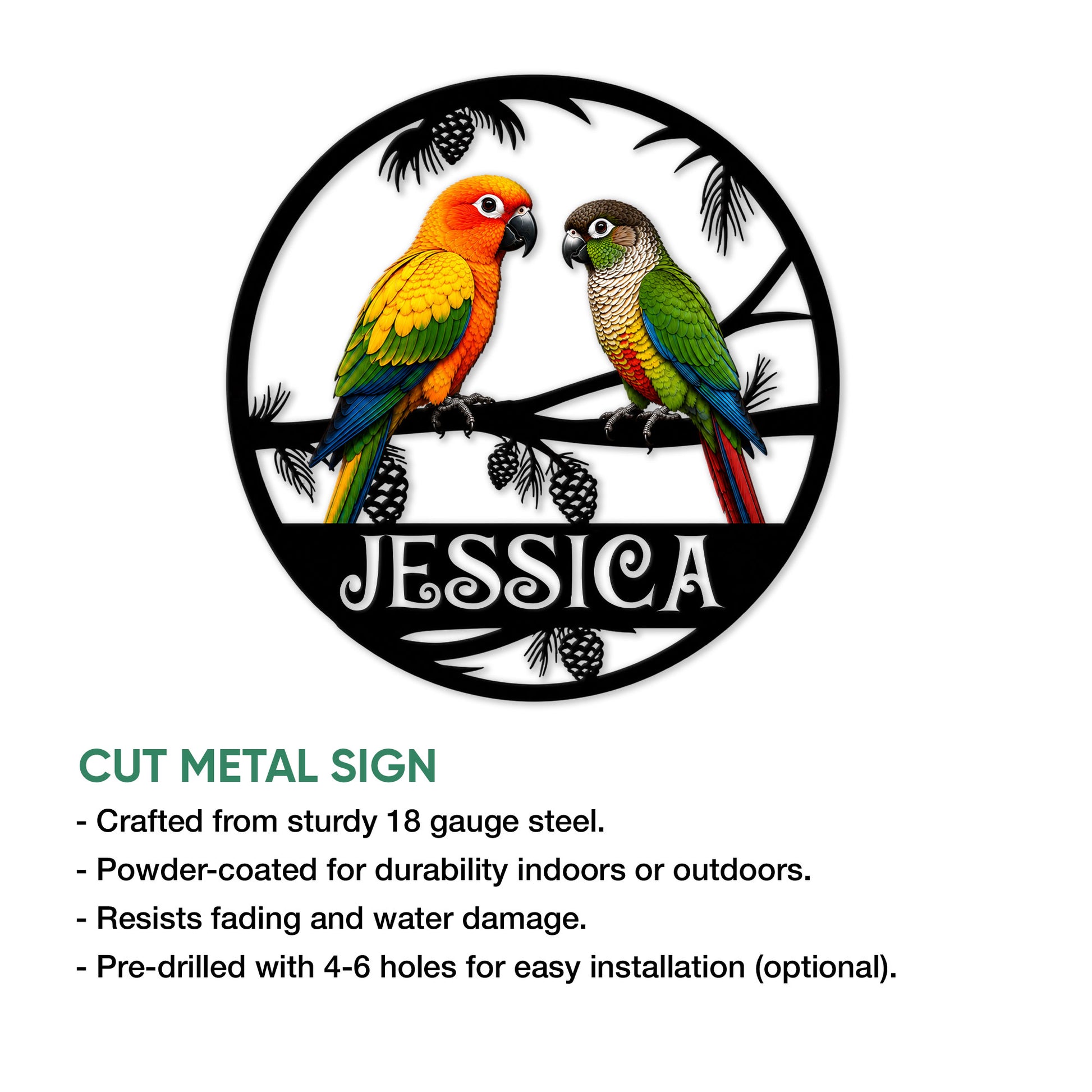 Conure metal sign featuring two colorful parrots, pine branches, and a circular cut-metal design