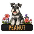 Detailed Miniature Schnauzer metal sign with a cheerful dog portrait surrounded by colorful flowers