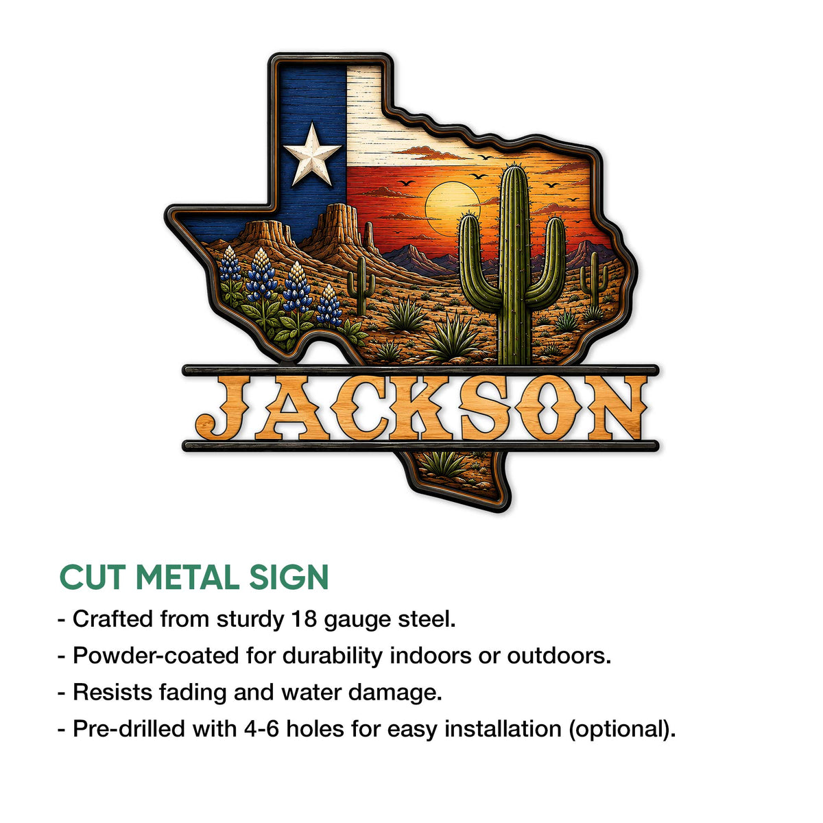 Texas metal sign product infographic showing the desert landscape design and cut-metal sign presentation