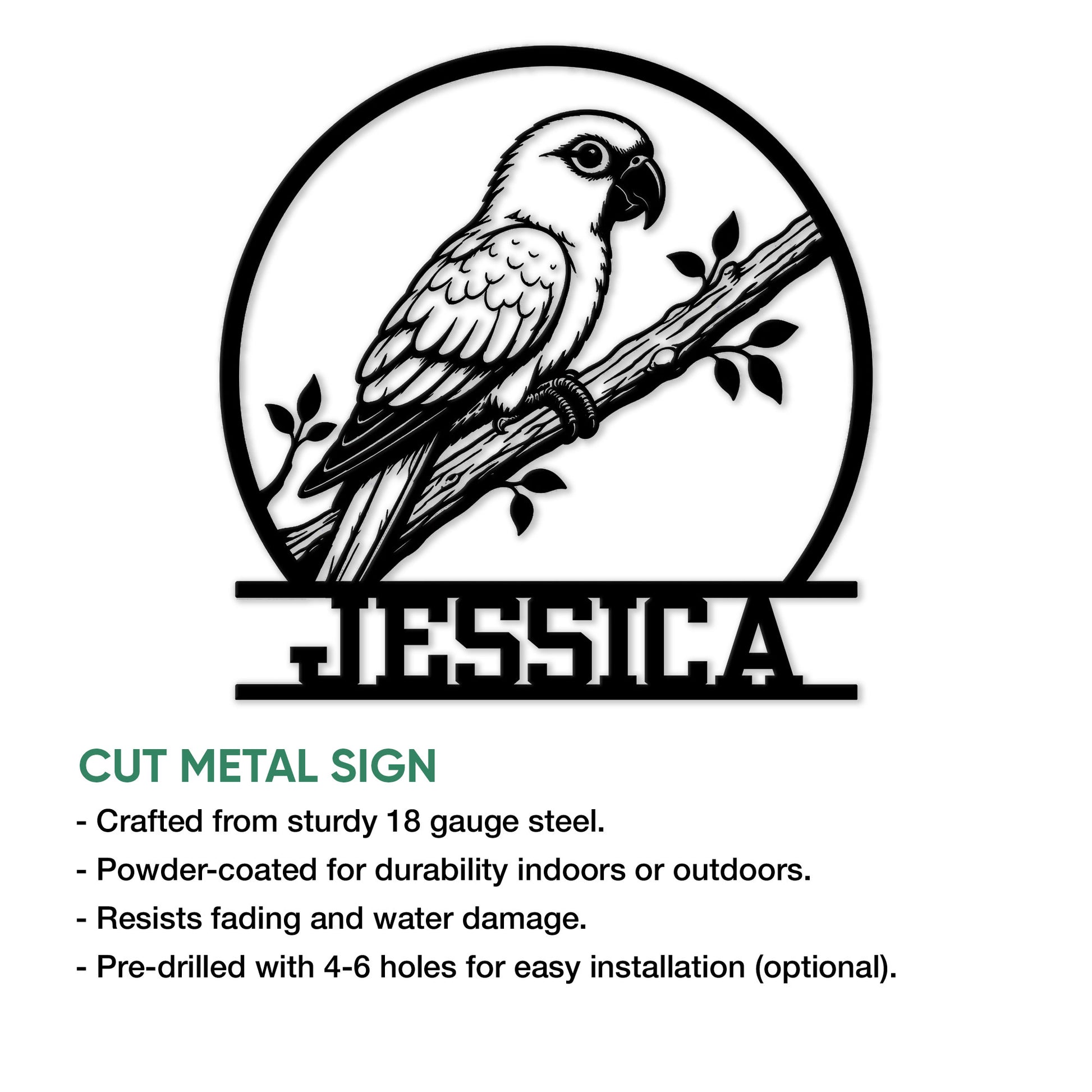 Conure cut metal sign feature graphic highlighting steel construction, powder coating, and optional mounting holes
