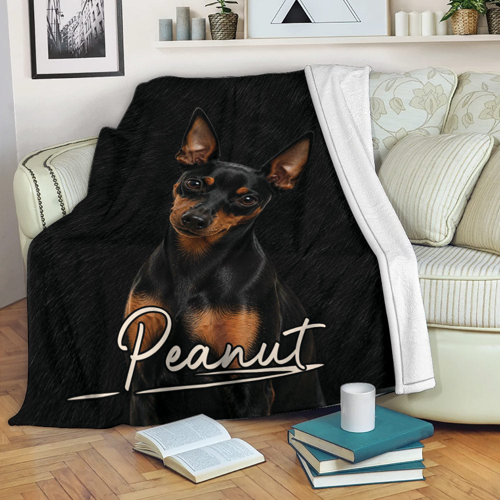 Miniature Pinscher throw blanket draped over a sofa in a cozy living room