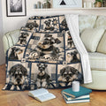 Miniature Schnauzer throw blanket displayed on a couch with repeated dog portraits and paw accents
