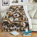 Alaskan Malamute throw blanket draped over a sofa in a cozy living room