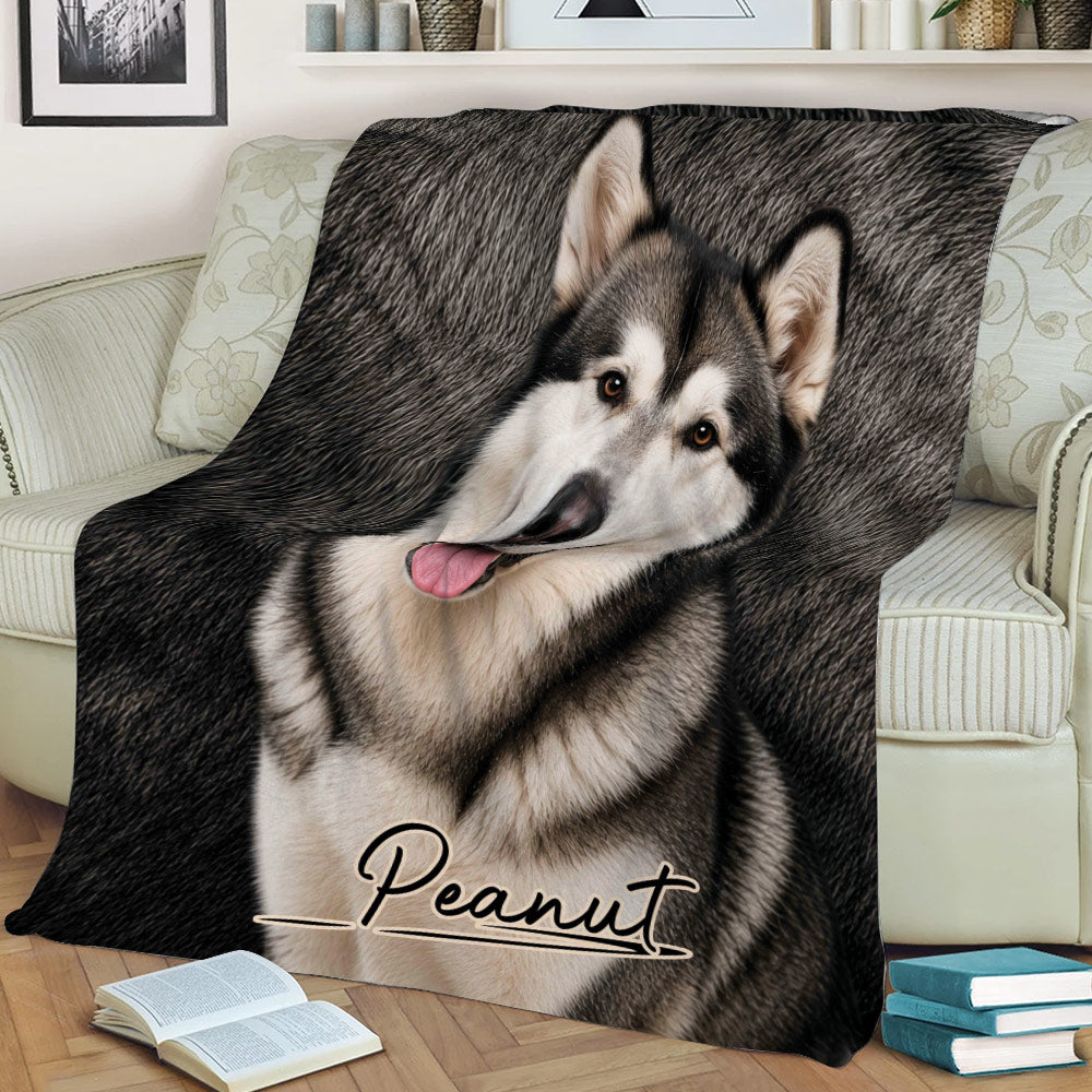 Close view of an Alaskan Malamute throw blanket draped across a sofa