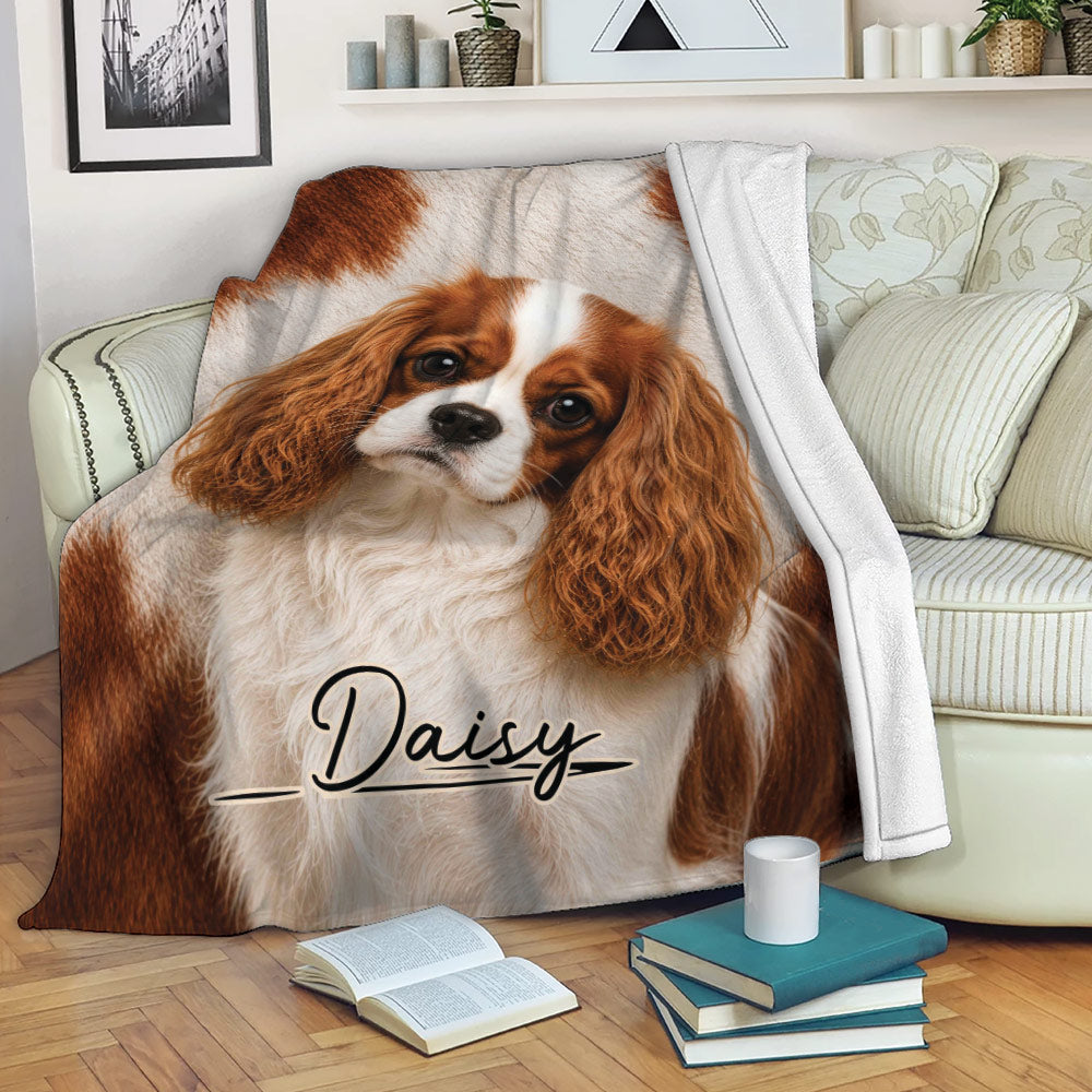 Cavalier King Charles Spaniel throw blanket draped over a sofa in a cozy reading room