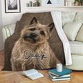 Cairn Terrier blanket displayed on a sofa with a cozy living room reading setup