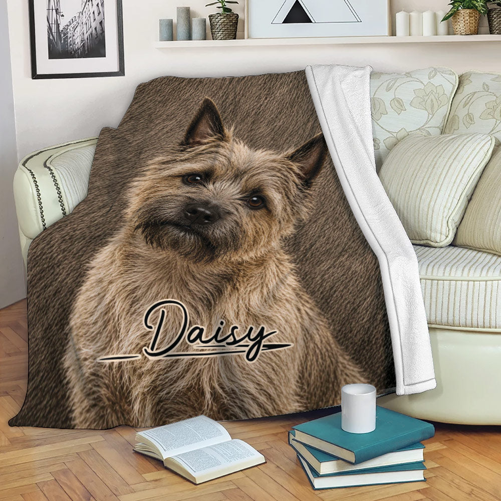 Cairn Terrier blanket displayed on a sofa with a cozy living room reading setup