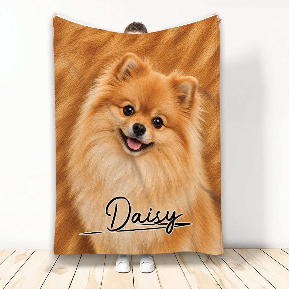 Orange Pomeranian portrait blanket displayed upright in a bright room with warm brown artwork