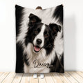 Black-and-white Border Collie artwork displayed on a custom throw blanket