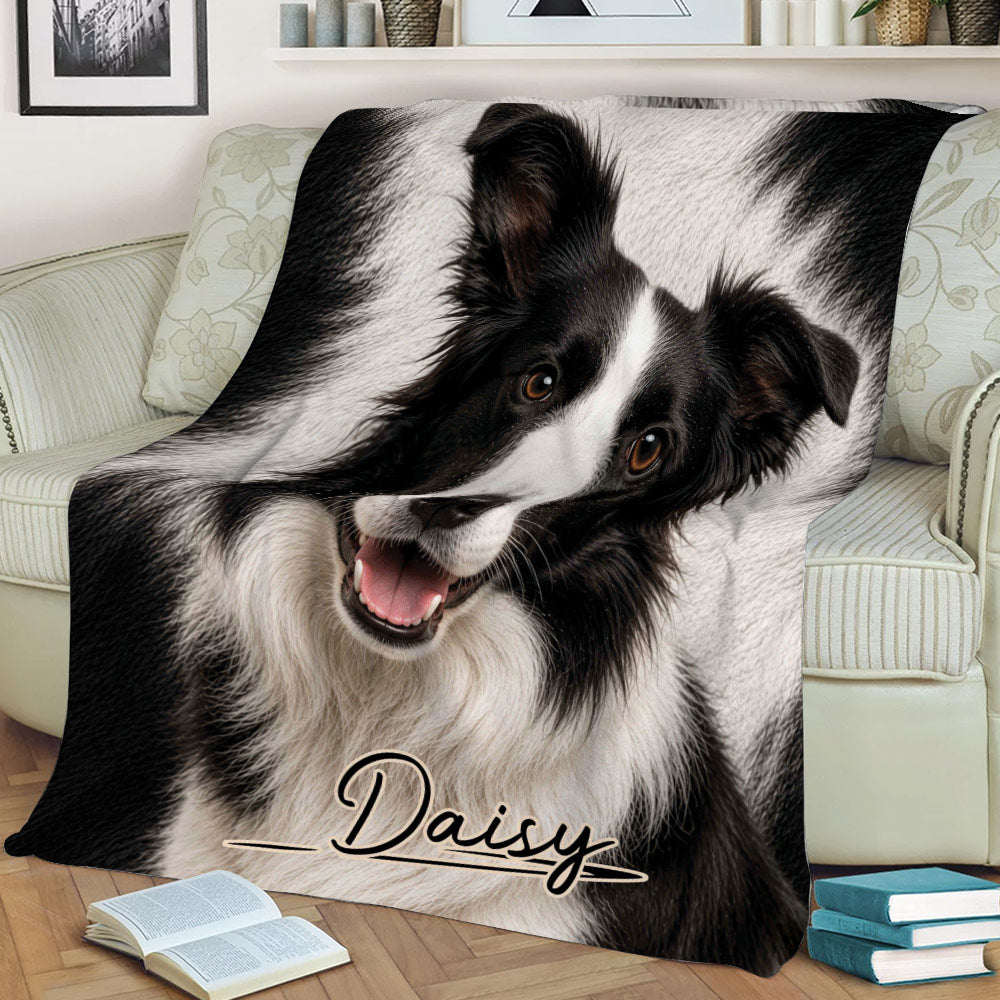 Border Collie blanket draped across a sofa with detailed black-and-white dog artwork
