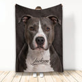American Staffordshire dog artwork printed across a blanket displayed against a light wall