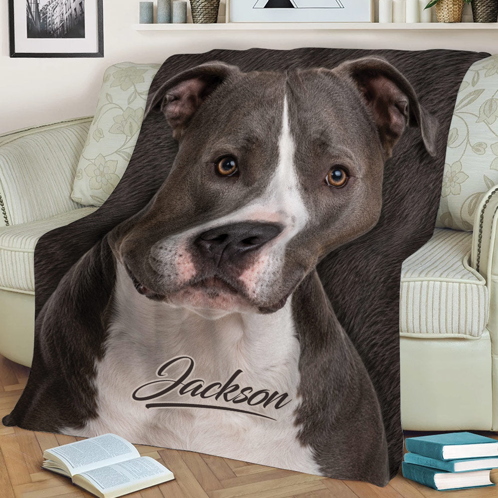 Close view of an American Staffordshire dog blanket styled on a sofa with books nearby