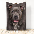 Pitbull throw blanket featuring a detailed gray dog portrait in a cozy home presentation