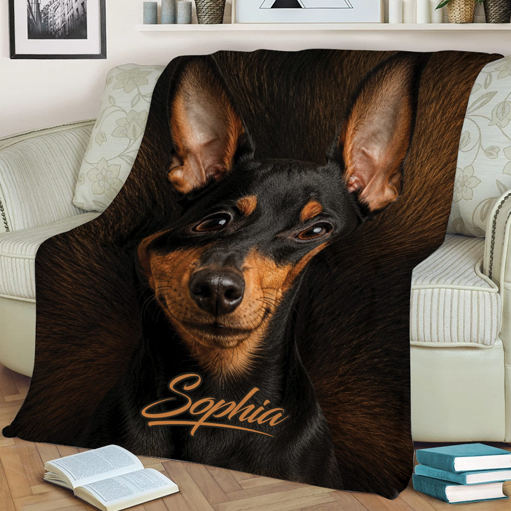 Miniature Pinscher throw blanket draped across a sofa in a cozy living room