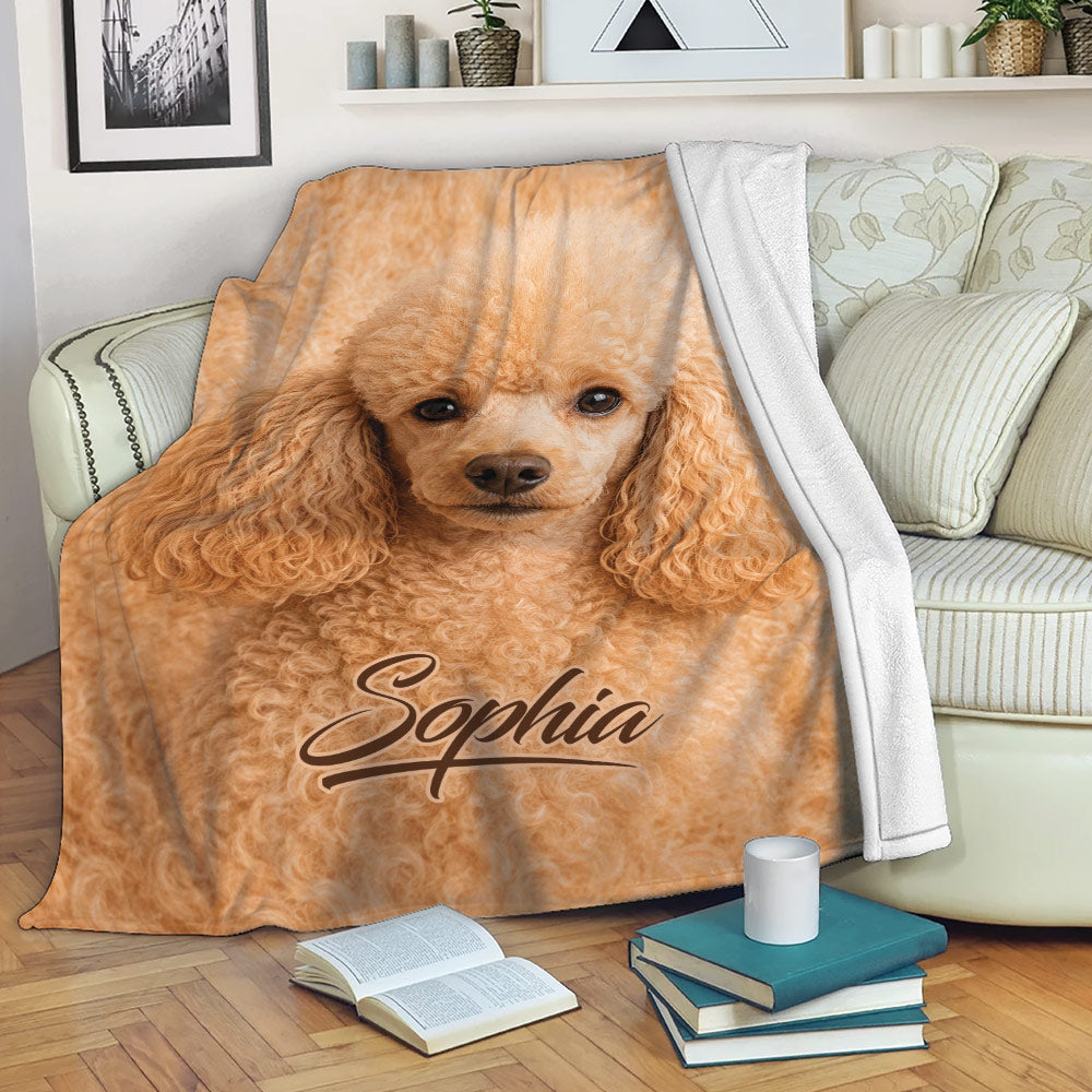 Apricot poodle throw blanket displayed on a couch with cozy living room decor