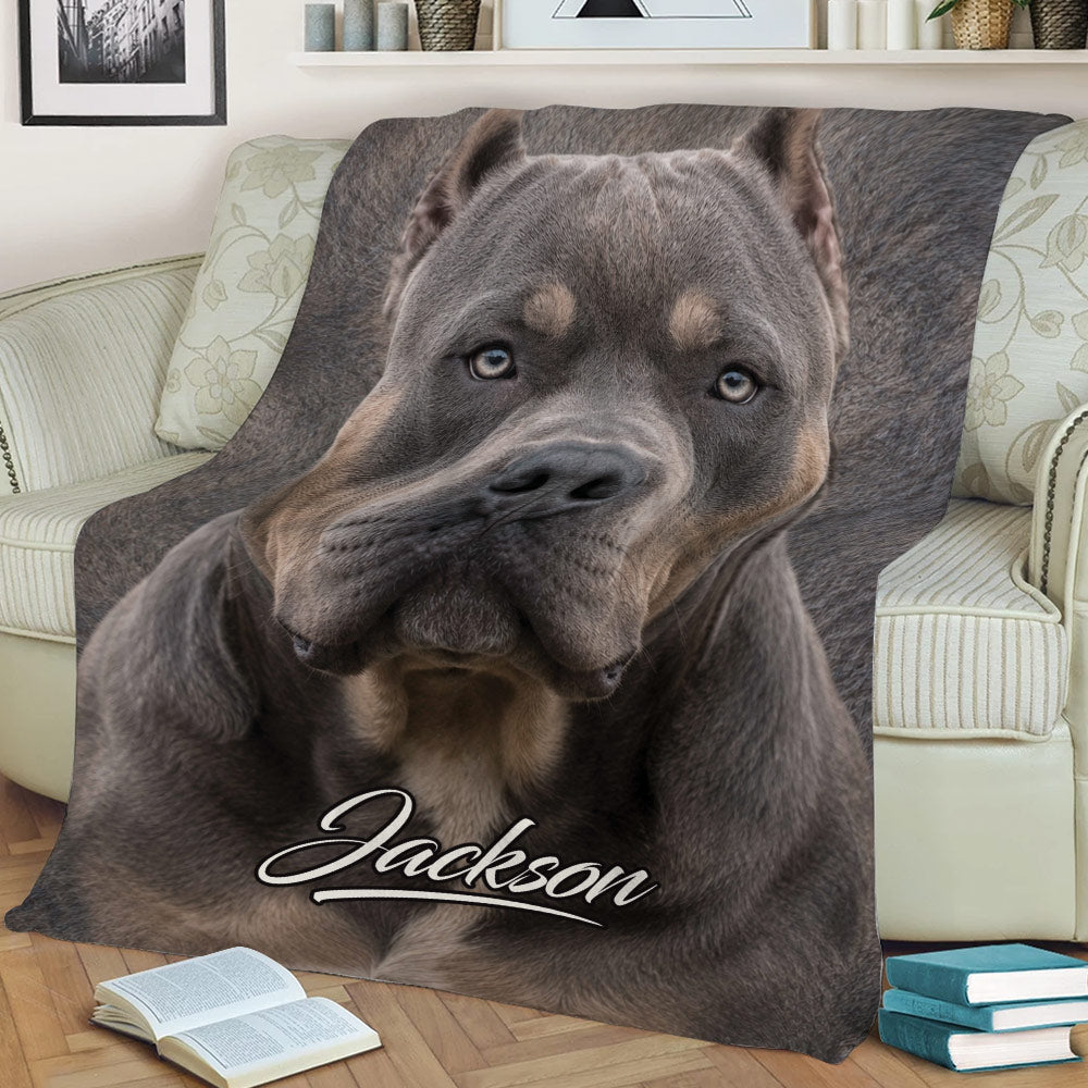 Close-up American Bully throw blanket design styled on a sofa with books nearby