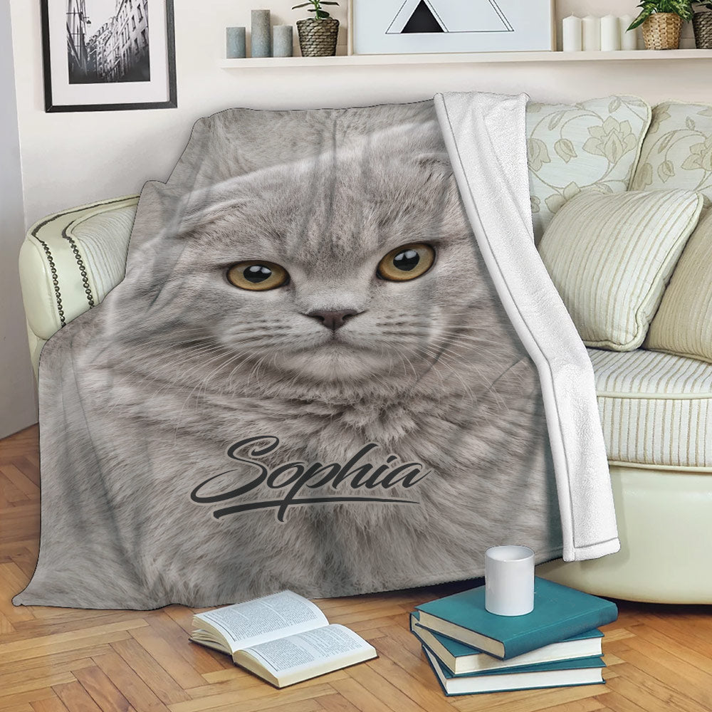Gray Scottish Fold cat blanket draped over a sofa for cozy reading and lounging