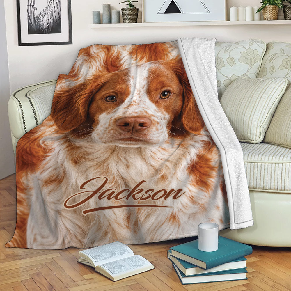 Brittany Spaniel blanket draped across a cozy sofa in a warm living room setting