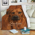 Rhodesian Ridgeback blanket draped over a sofa with a realistic reddish-brown dog portrait