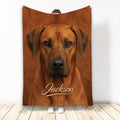Rhodesian Ridgeback throw blanket featuring a close-up reddish-brown dog portrait in a warm brown design