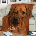Close-up Rhodesian Ridgeback throw blanket displayed on a couch in a cozy living room