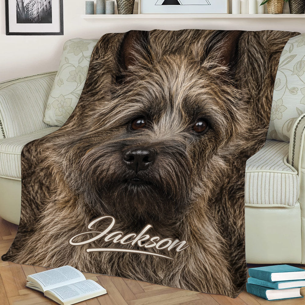 Close-up Cairn Terrier throw blanket styled across a sofa with warm brown dog artwork