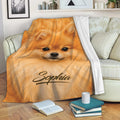 Orange Pomeranian blanket draped over a sofa in a cozy living room setting