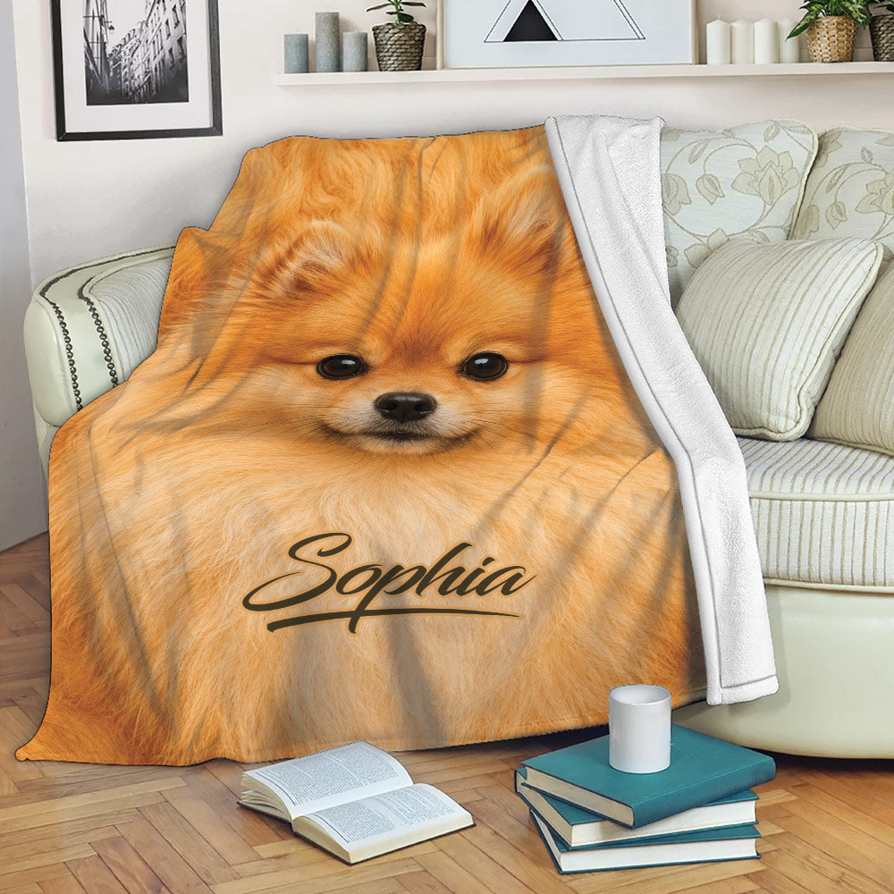 Orange Pomeranian blanket draped over a sofa in a cozy living room setting