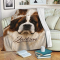 Saint Bernard blanket draped over a sofa in a cozy reading room with brown and cream dog artwork