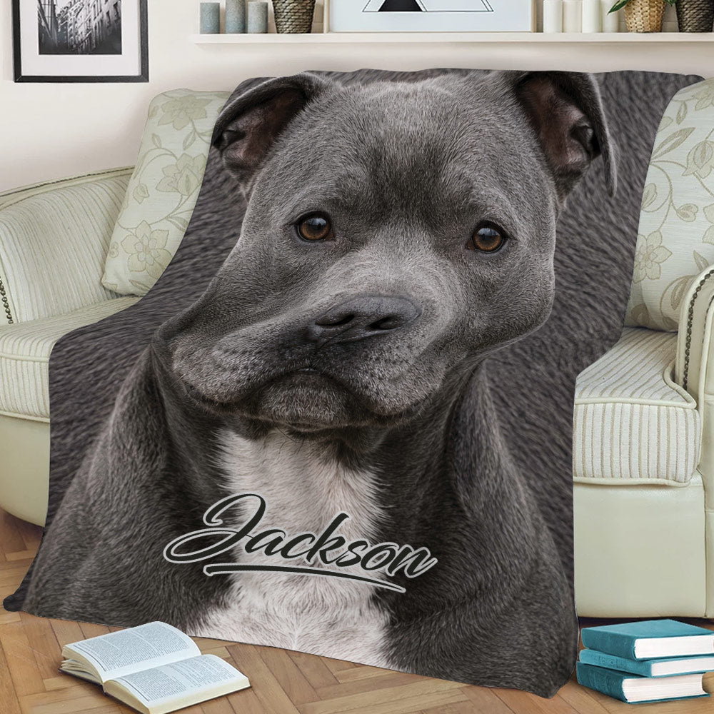 Close view of a realistic Staffordshire Bull Terrier throw blanket on a sofa
