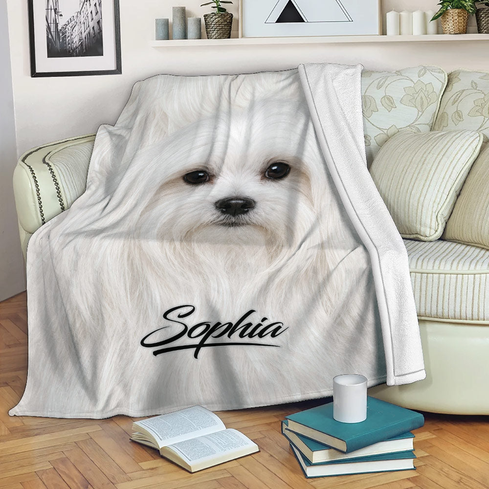 Maltese dog blanket draped over a sofa in a cozy reading room