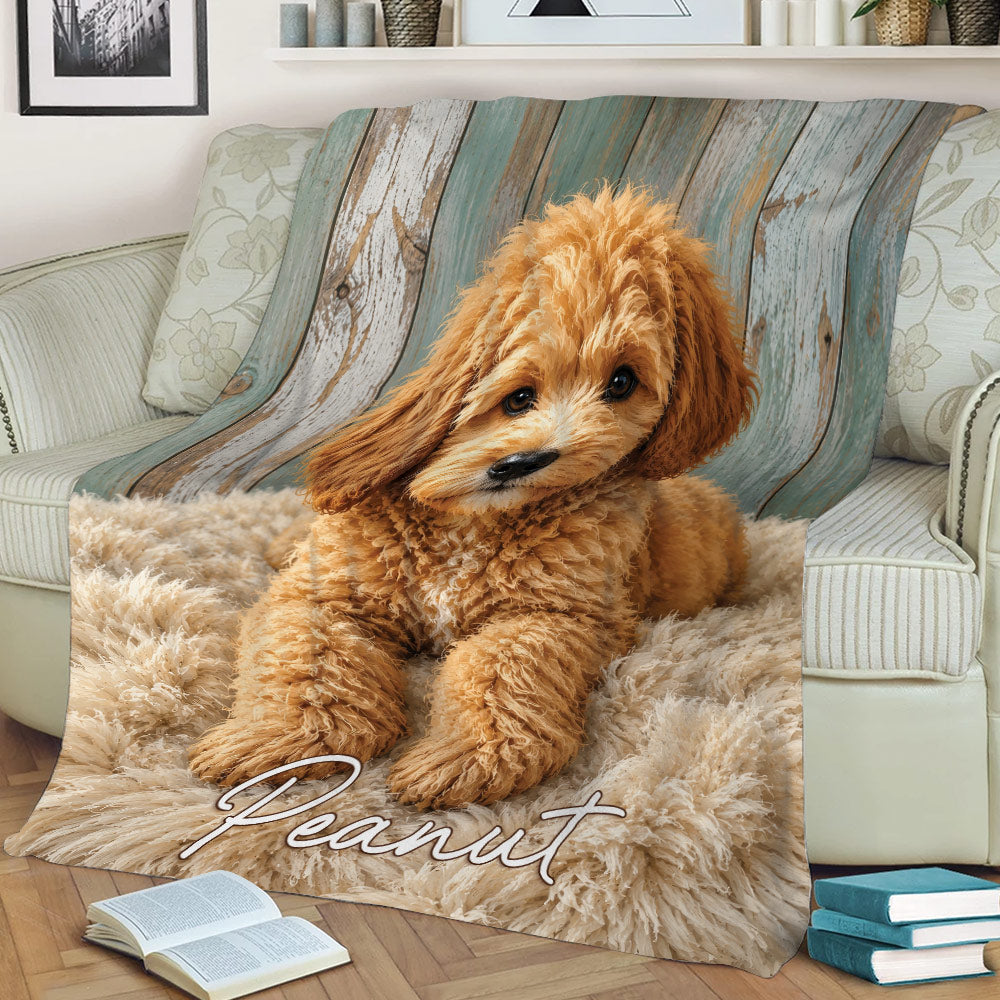 Curly golden Labradoodle blanket draped across a sofa in a cozy living room