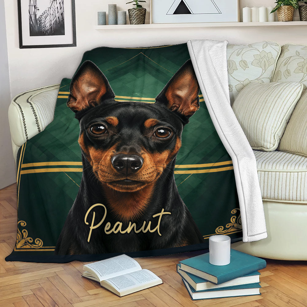 Miniature Pinscher throw blanket draped over a sofa in a cozy living room setting