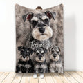 Miniature Schnauzer blanket design featuring four expressive gray and black dogs in a cozy portrait collage